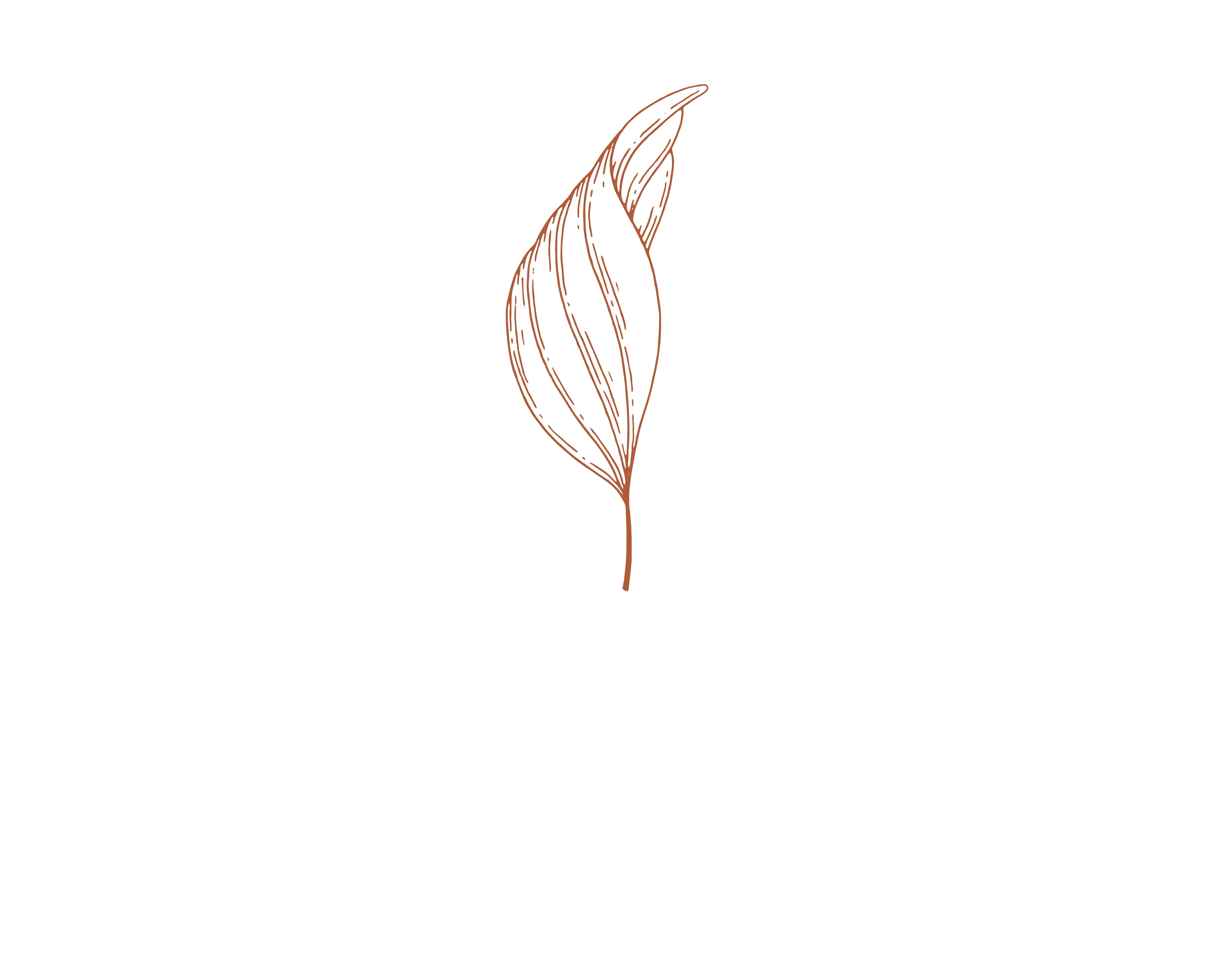 footer-logo
